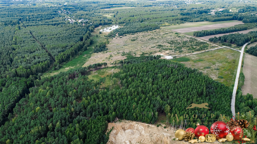 Obiekt Sprzedaż Gąsawy Rządowe 5