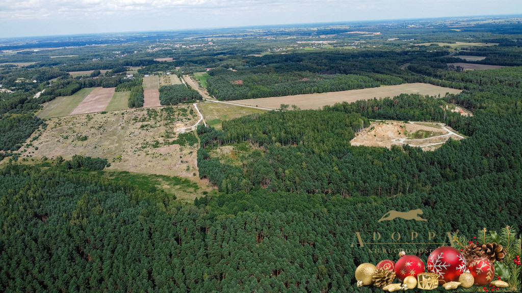 Obiekt Sprzedaż Gąsawy Rządowe 6