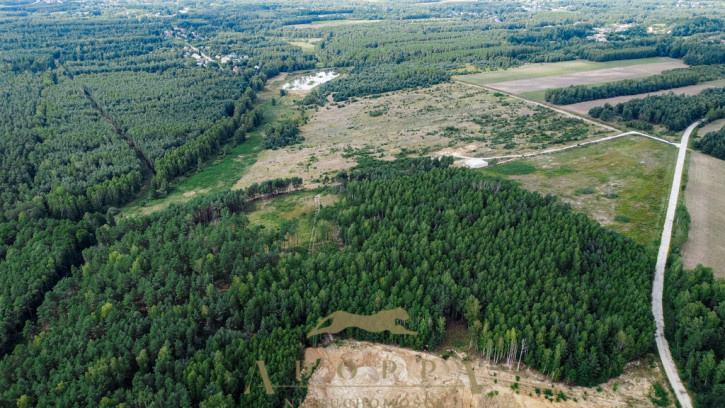 Obiekt Sprzedaż Gąsawy Rządowe 5