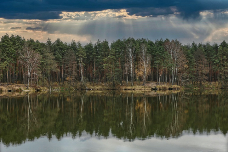 Działka Sprzedaż Przyłubsko 7