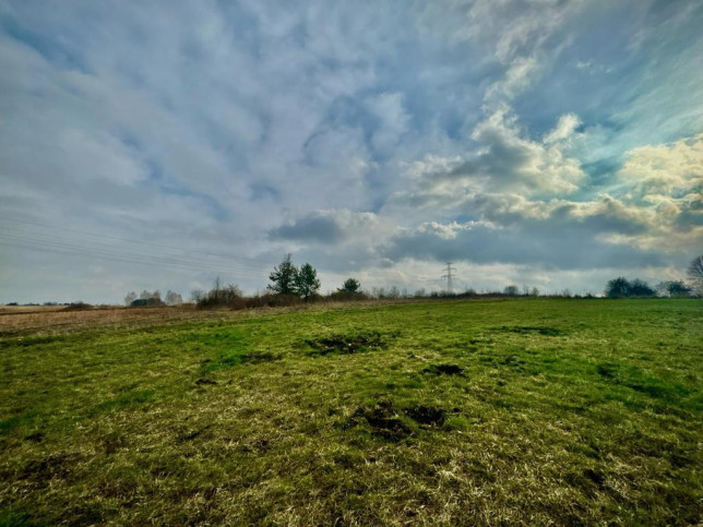 Działka Sprzedaż Zawiercie Blanowice 5