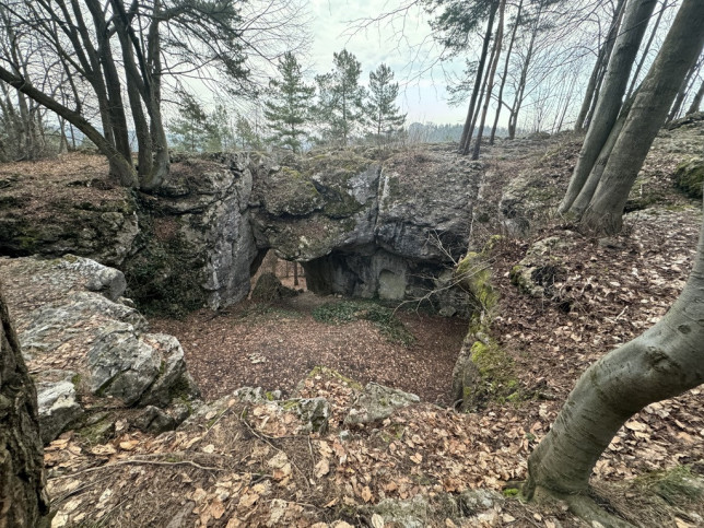 Działka Sprzedaż Zawiercie Blanowice 6