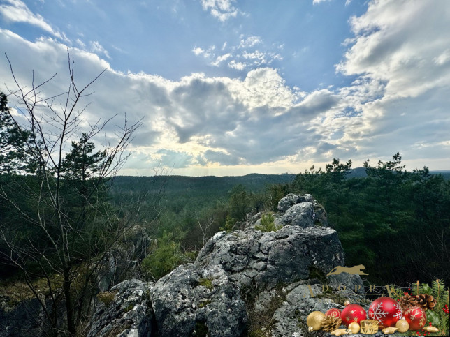 Działka Sprzedaż Zawiercie Blanowice 7