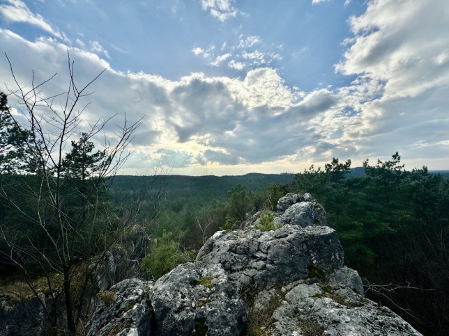 Działka Sprzedaż Zawiercie Blanowice 7