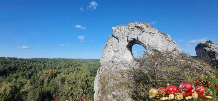 Działka Sprzedaż Zawiercie Blanowice 9