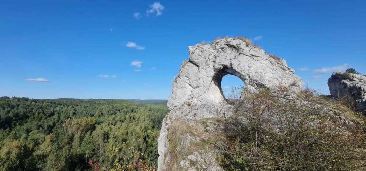 Działka Sprzedaż Zawiercie Blanowice 9